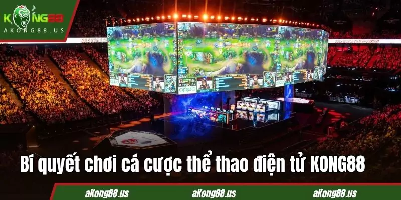 Bí quyết cược ESports là chọn những trận đấu tầm cỡ