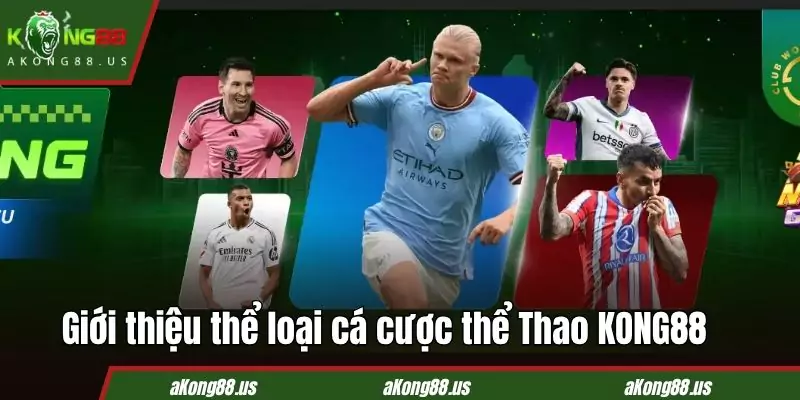 Thể thao KONG88 mang tới trải nghiệm chuyên nghiệp